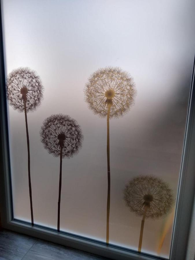 Ferienwohnung Loewenzahn Mueddersheim Vettweiss Extérieur photo